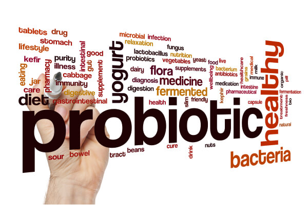 Probiotic Yogurt